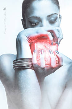 Preserve these Feelings