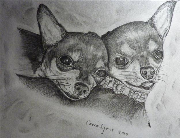 Chihuahua Pals