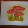 Fly Agaric - Toadstools