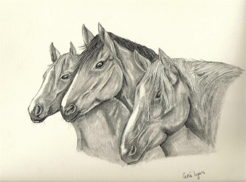 Three Horses