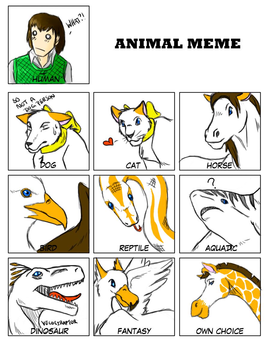 Animal Meme