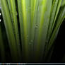 Desktop October '09