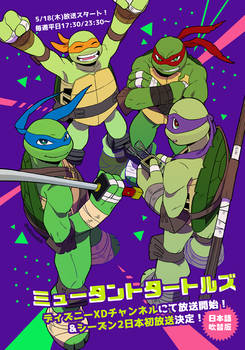 TMNT 2k12 in Disney XD Japan!!!