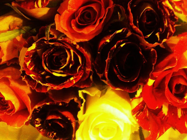 Gold and Alone. by Absency on DeviantArt