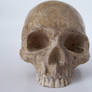 freaksmg-stock - new skull 8