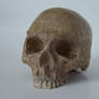 freaksmg-stock - new skull 11
