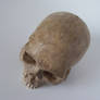 freaksmg-stock - new skull 12