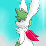 Shaymin: Free as the Wind