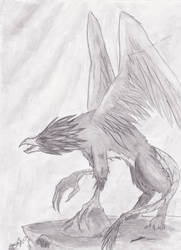 Griffin