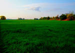 Green fields of poetry by yakoub