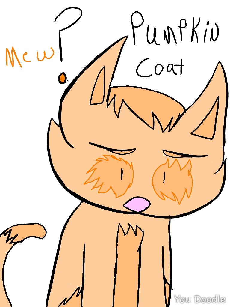 My warrior cats oc pumpkin coat