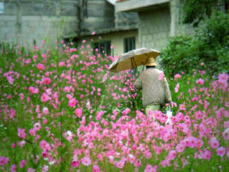 Walking through flowers and drops