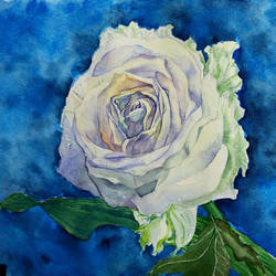 Rose Watercolor Painting