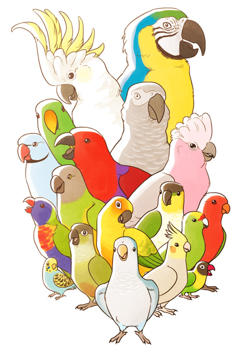 Parrot Party