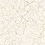 Cracked Texture
