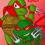 TMNT-toon Raphaels-