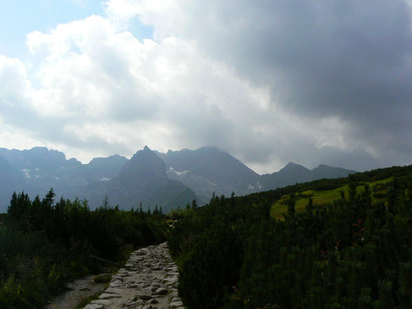 Tatry - From ground level
