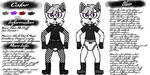 Fursona - Blair Mo Fluff Reference Sheet