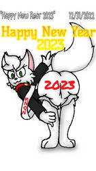 Happy New Rear 2023