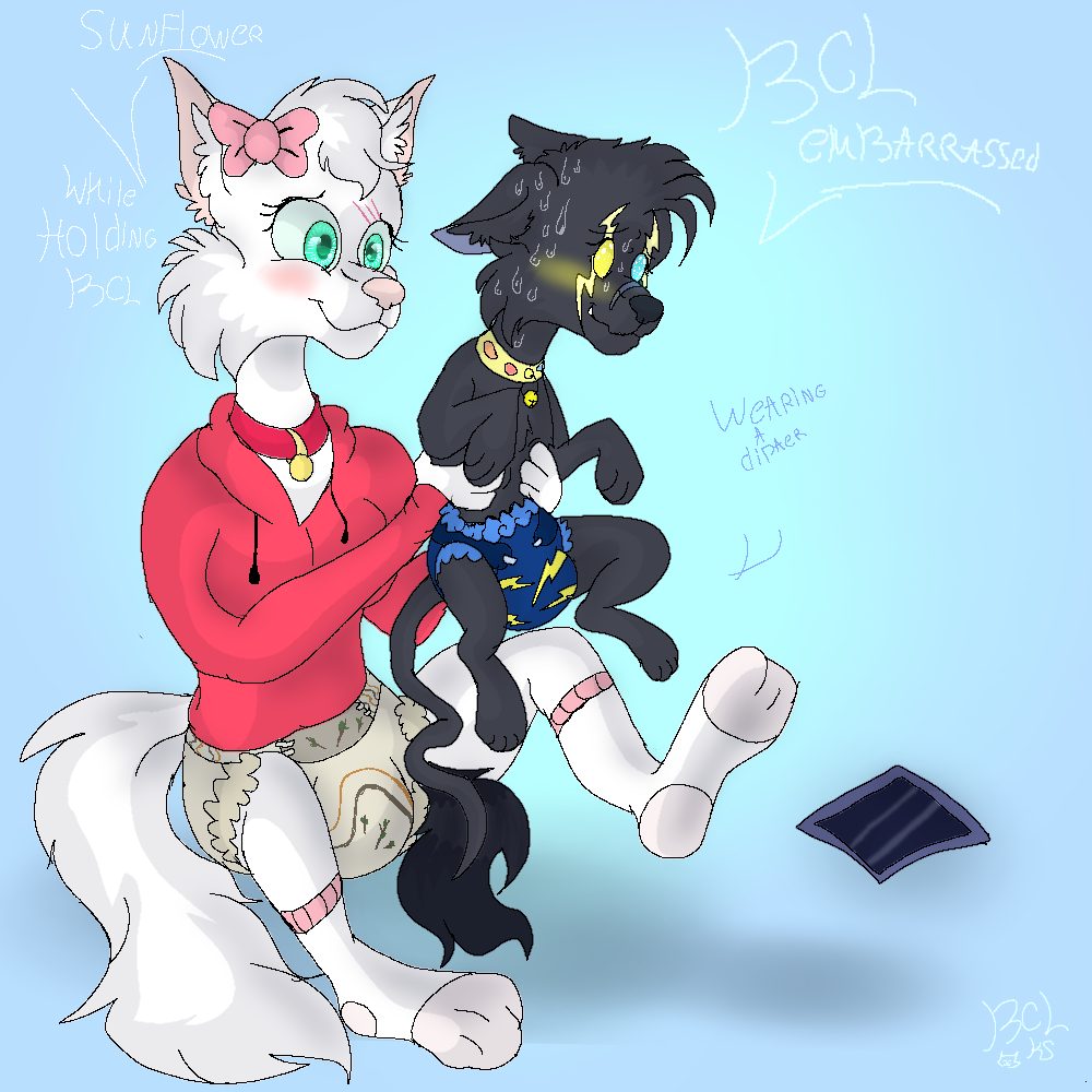 (Blackcatlightning) Sunflower Holding BCL Embarras