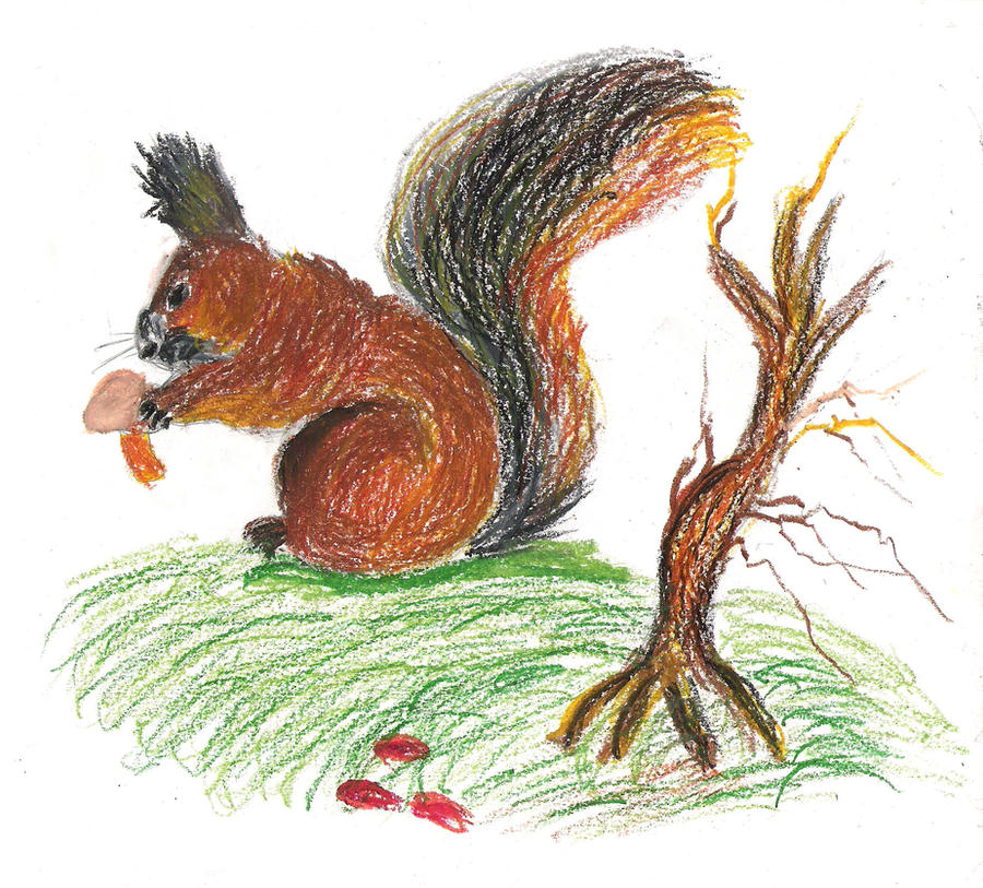 Squirrel Deviantart squirrel by Elsku93 on DeviantArt