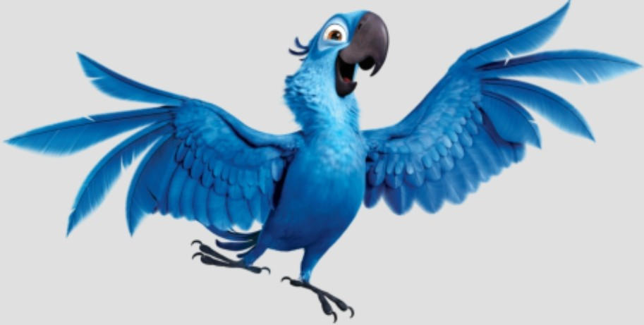 Blu Rio Render Deviantart Blu (Rio) Render by TonyIgoe on DeviantArt