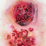 pomegranate