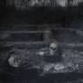 death cult