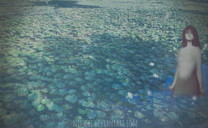 the mysterious pond