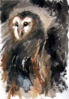 Expressionist-Wannabe Barn Owl