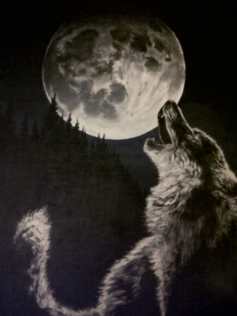Wolf howling by AminEmpire on DeviantArt