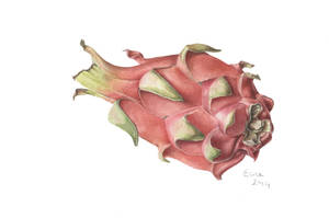 Dragonfruit