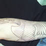 Forearm02