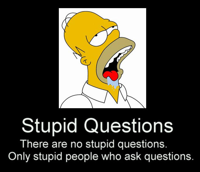 Stupid Questions by funny-pics-club on DeviantArt Stupid Questions by funny-pics-club on DeviantArt