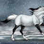 Ice Road Runner