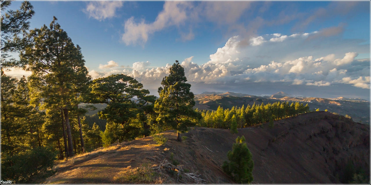 Pinos de Galdar