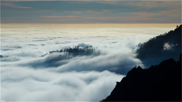 Far wanderer above the sea of clouds