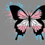 Transgender Butterfly Pride Wallpaper