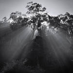 Illumination by Jeroneos