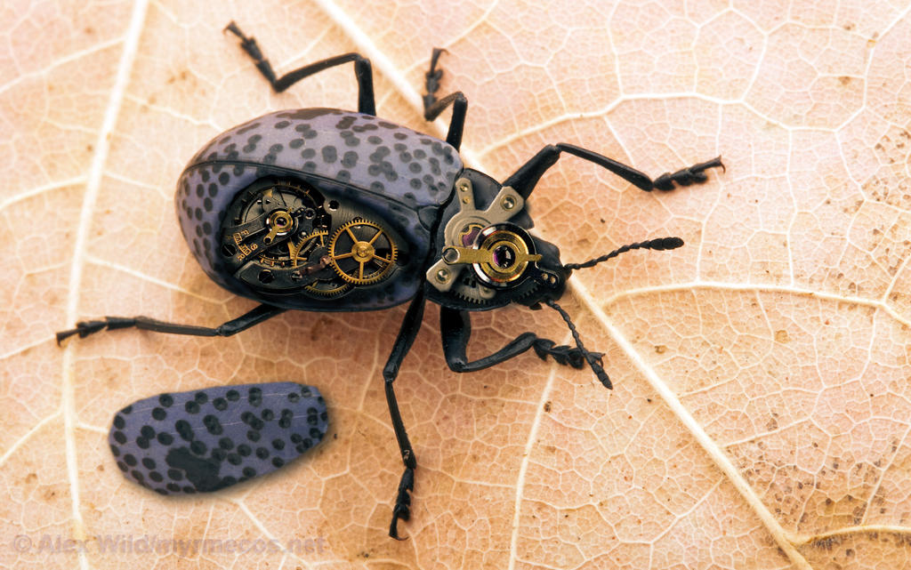 Steampunk Insect by feferest on DeviantArt