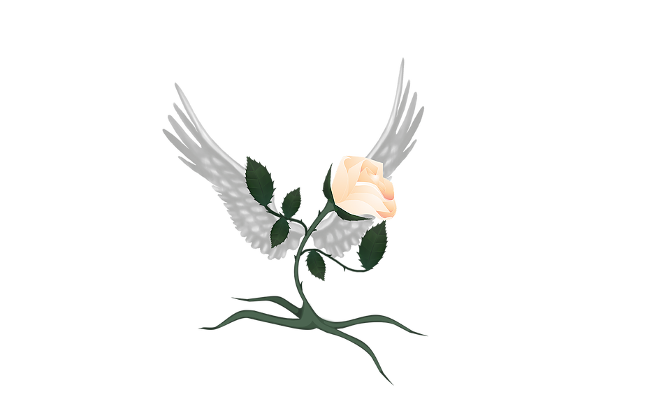 Rosa by sagaers on DeviantArt