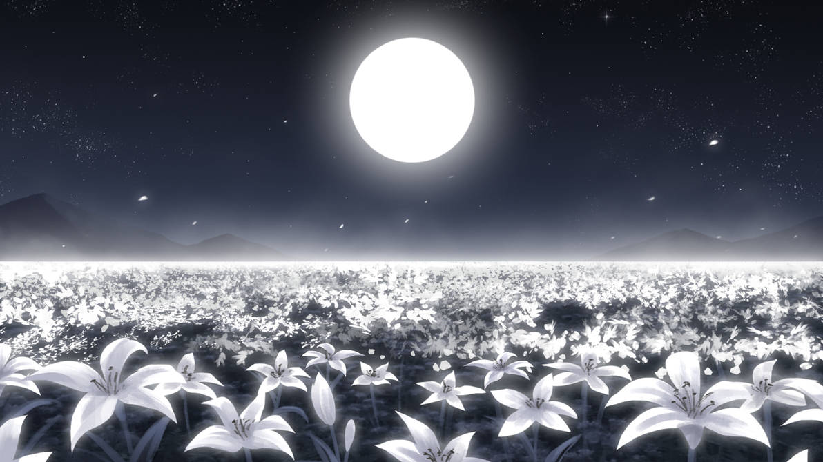 White Flower Field by gin-1994 on DeviantArt