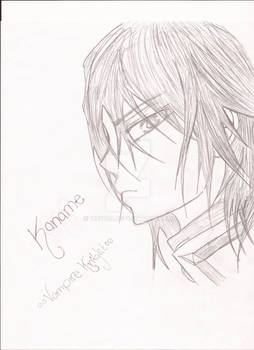 Kaname -Vampire Knight-