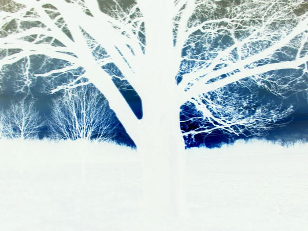Negative Blue by MissMotley on DeviantArt