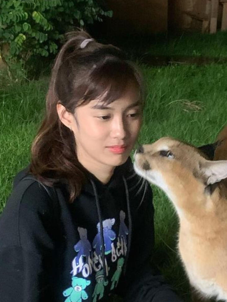 Cat kiss by PonytailOnly on DeviantArt