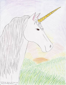 Unicorn for Shanny