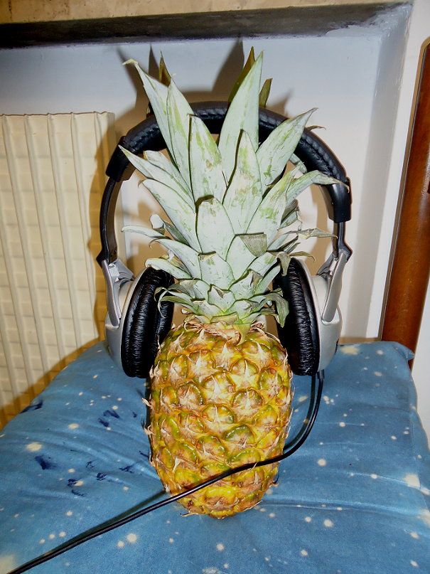 DJ Ananas