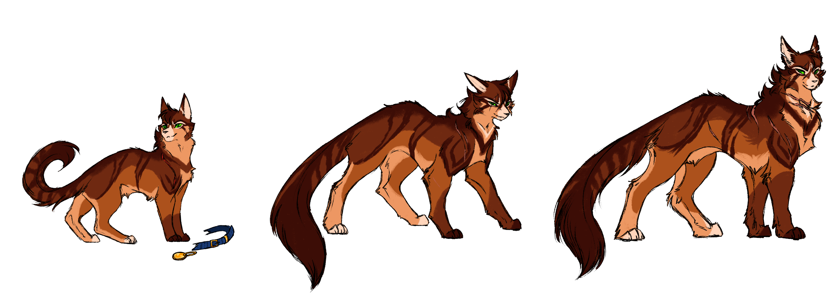 Firestar design - Warriors Cats by AngelDalet on DeviantArt