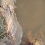 Ice, rock and sea water