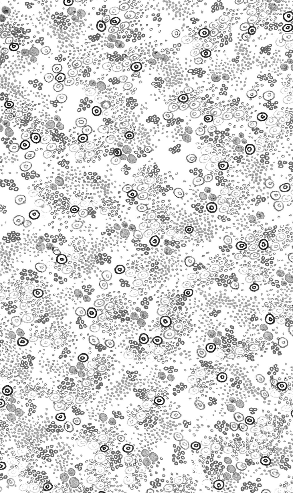 Dots